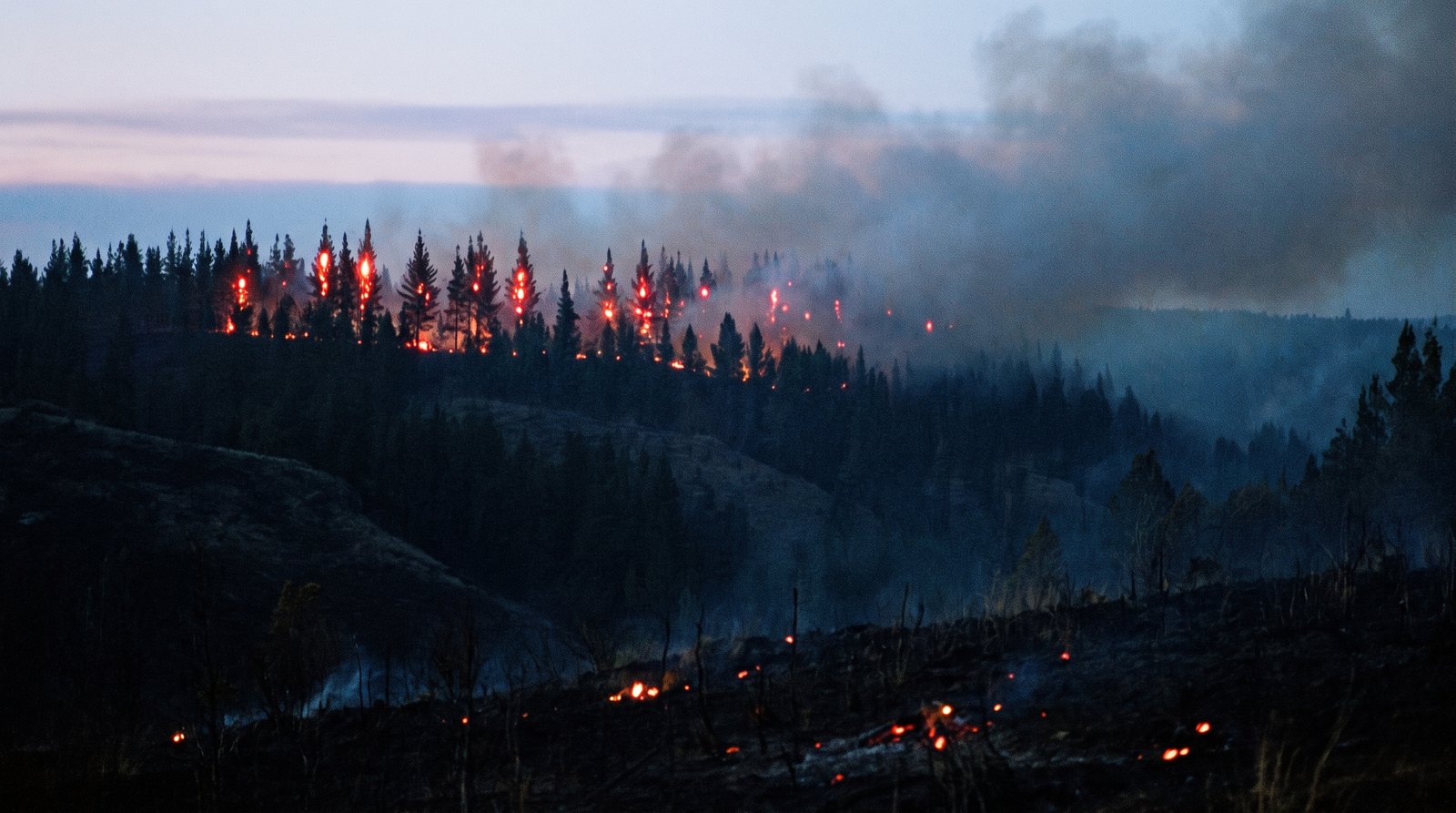 Smoldering treeline at dusk over ground already burned black